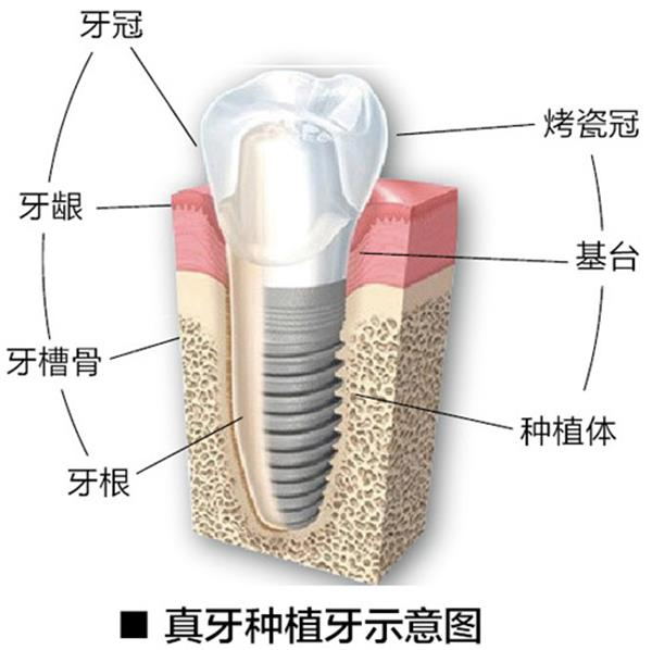 28-1G212155041O3_看图王.jpg